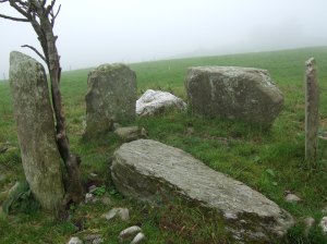 03.08.2007 Lettergorman stone circle